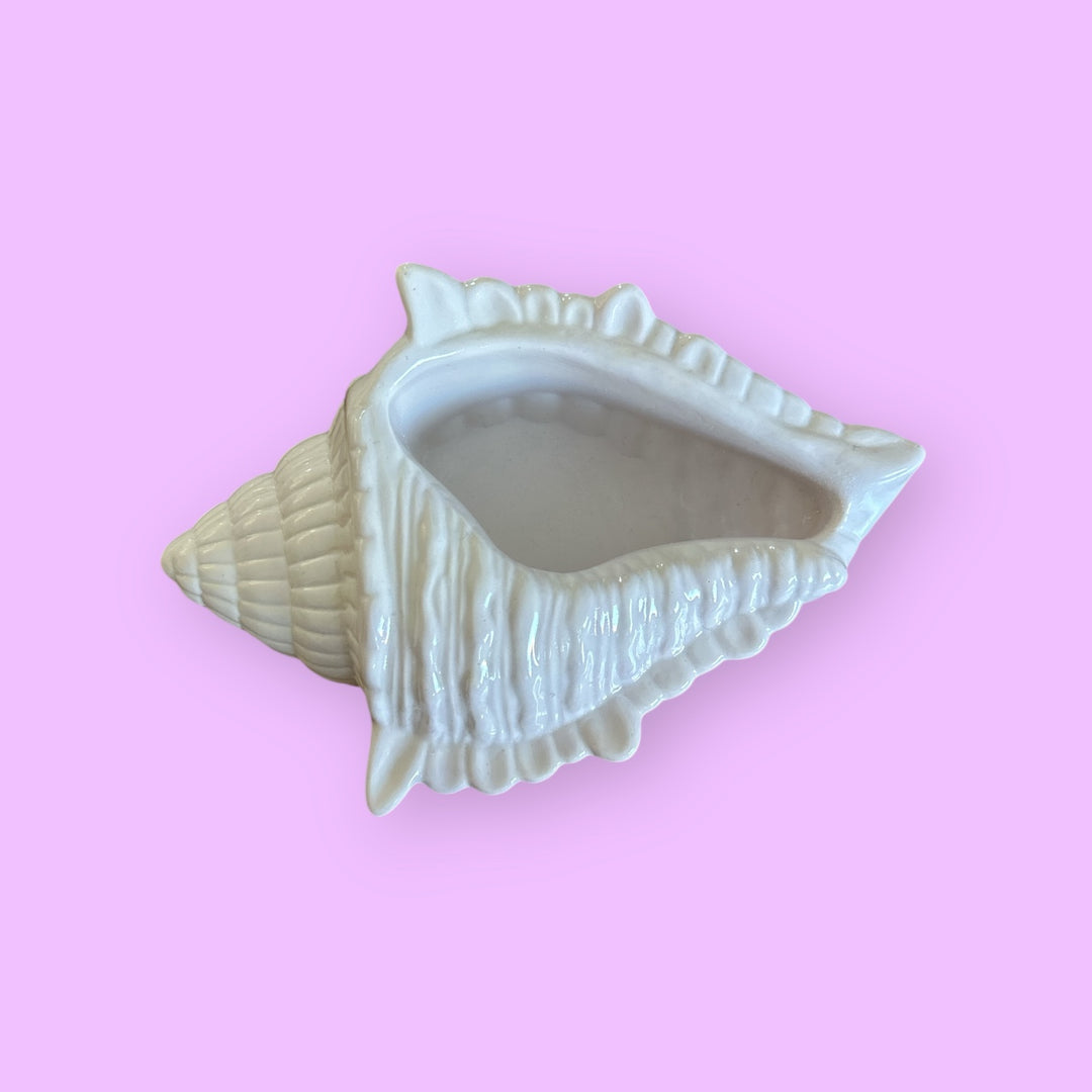 MYSTIC SHELL 🐚