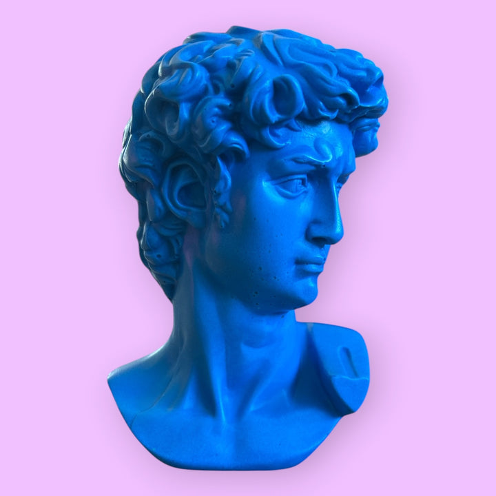 DAVID ICON 🌈