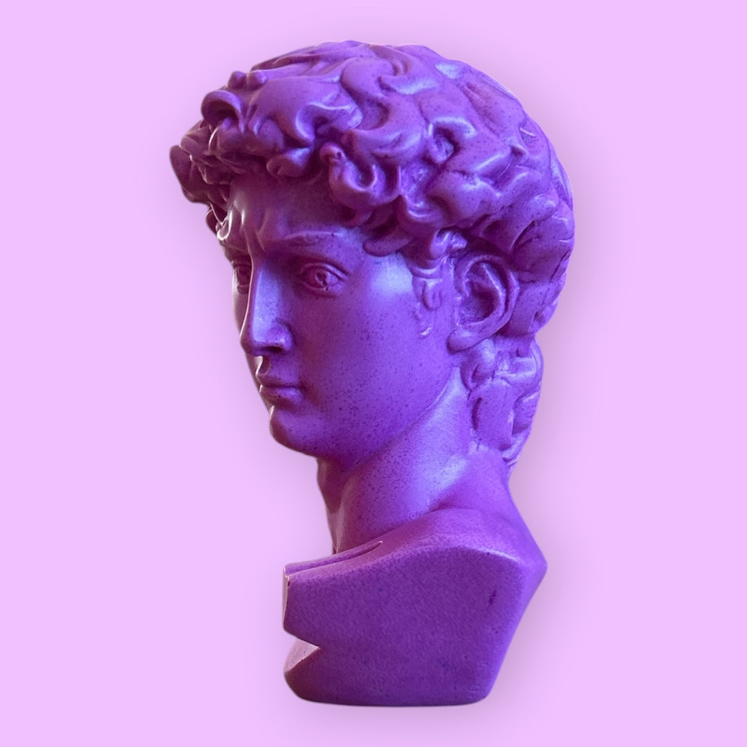 DAVID ICON 🌈