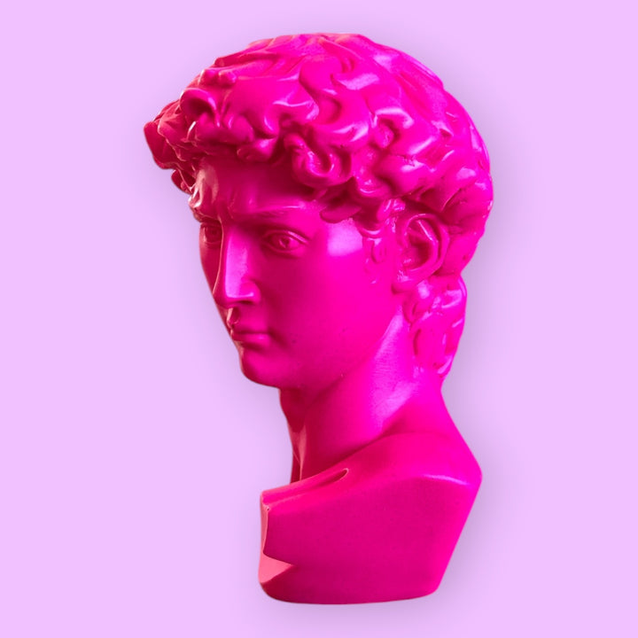 DAVID ICON 🌈